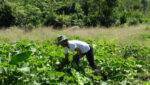 Nicaragua