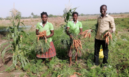 Kitchen Gardens Help Children Thrive In Ghana