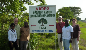 Esther, far right, visit a mango plantation in Northern Ghana with fellow Episcopal Relief & Development staff in 2010.