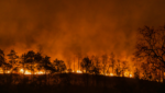 Responding to the Wildfires in Southern California